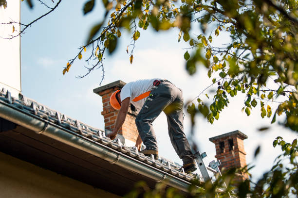 Quick and Trustworthy Emergency Roof Repair Services in Black Point Green Point, CA
